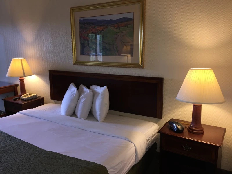 Sawgrass Inn & Conference Center - Chambres