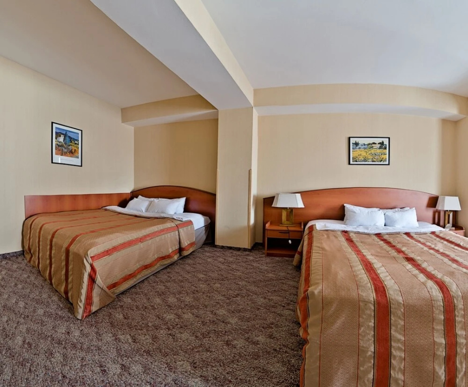 Standard Double room (twin beds)