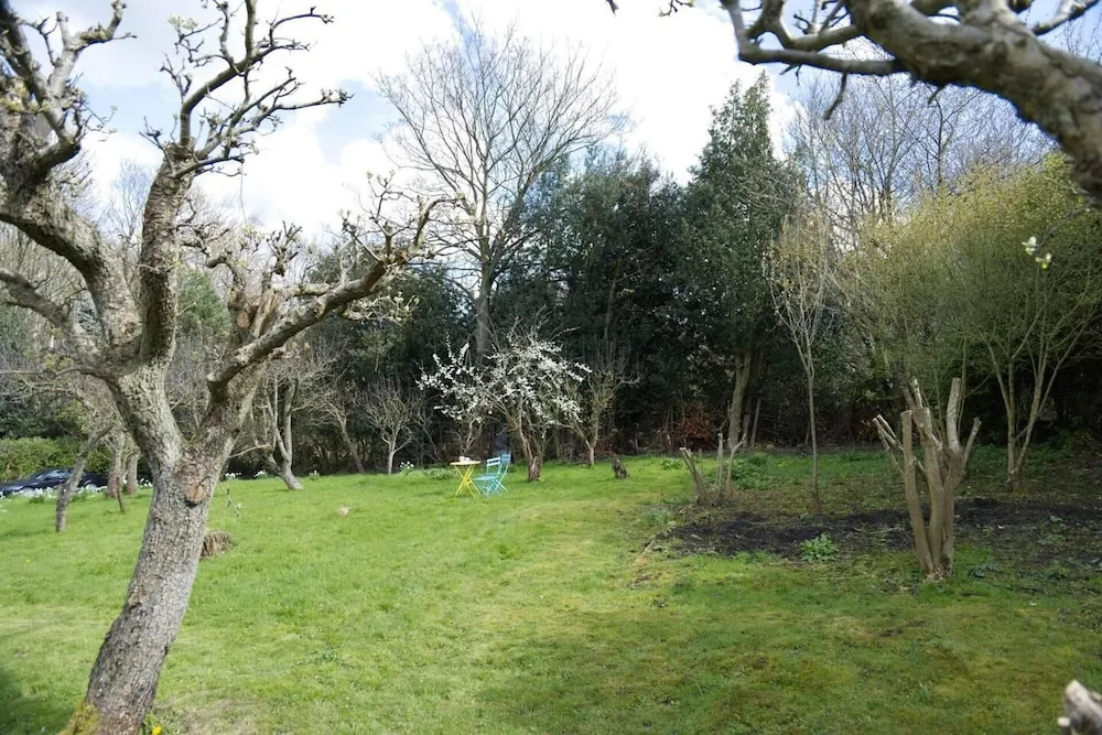 a Quirky Garden Building in an Orchard