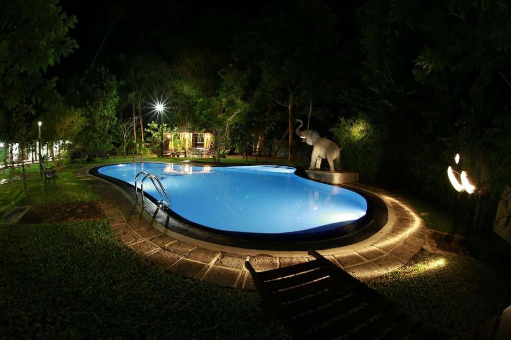 Villa 80