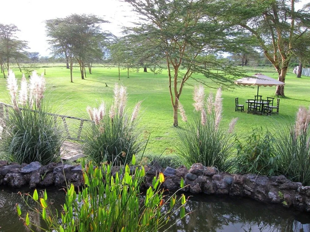 Sawela Lodge - 2
