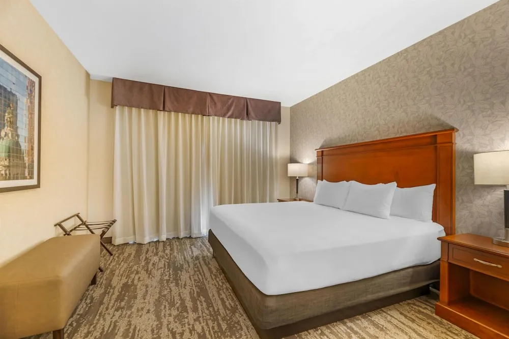 Drury Plaza Hotel St. Louis Brentwood - Chambres