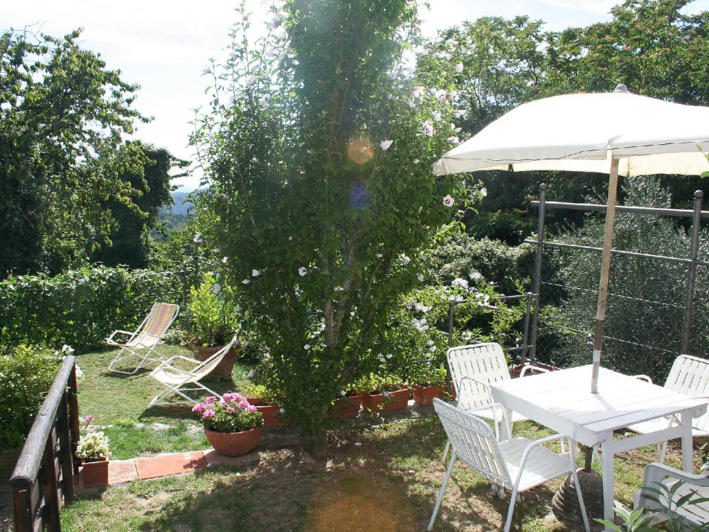 L'anticiana - Inh 28419