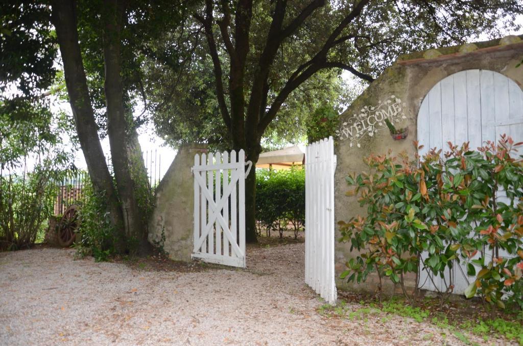 gallery_image_hidden_17