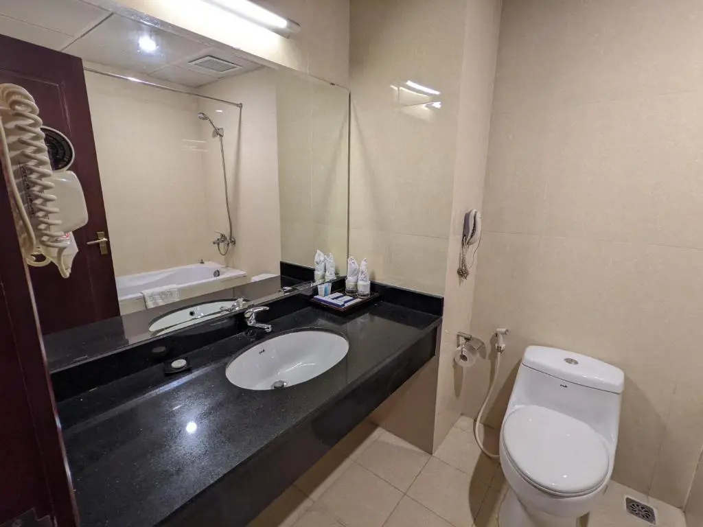 Superior Double room with city view (twin beds)