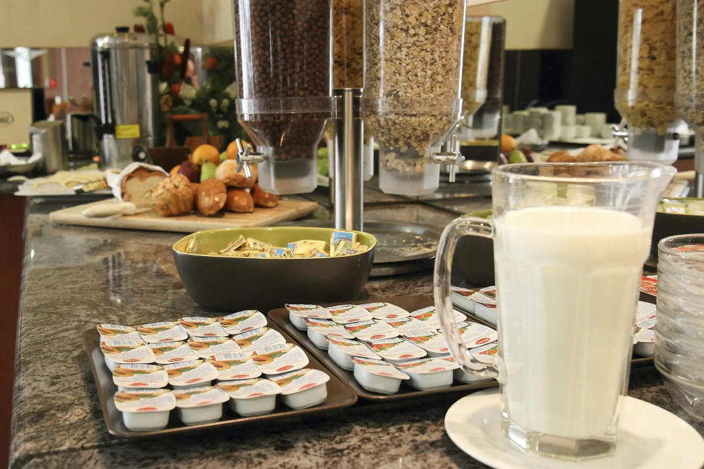 Airport Hotel Budapest - Général