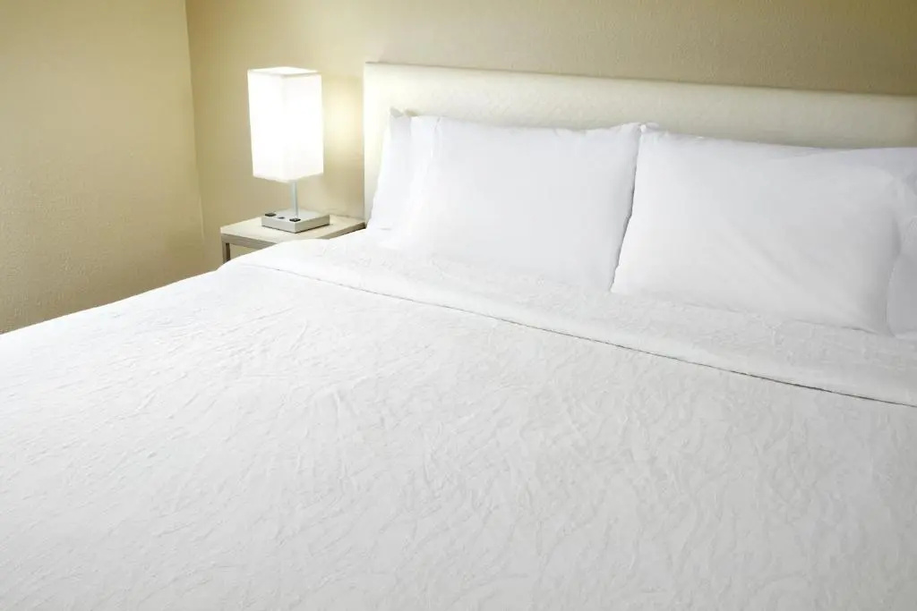 Hilton Garden Inn Savannah Midtown - Chambres