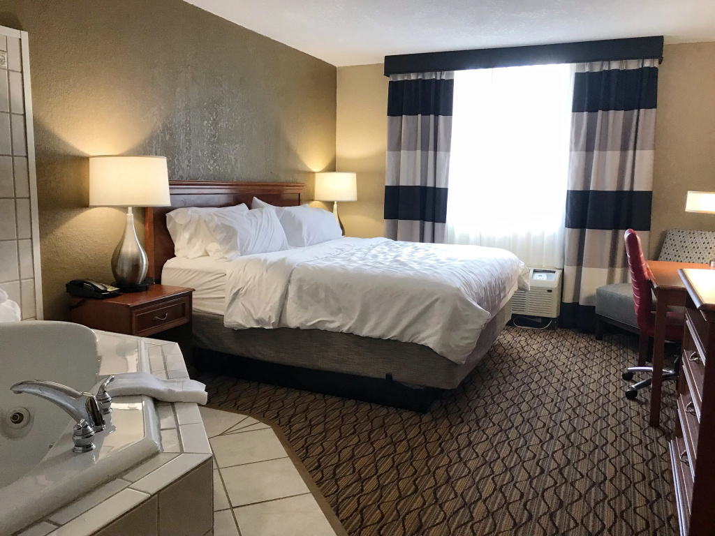 Holiday Inn Alexandria by IHG - Général