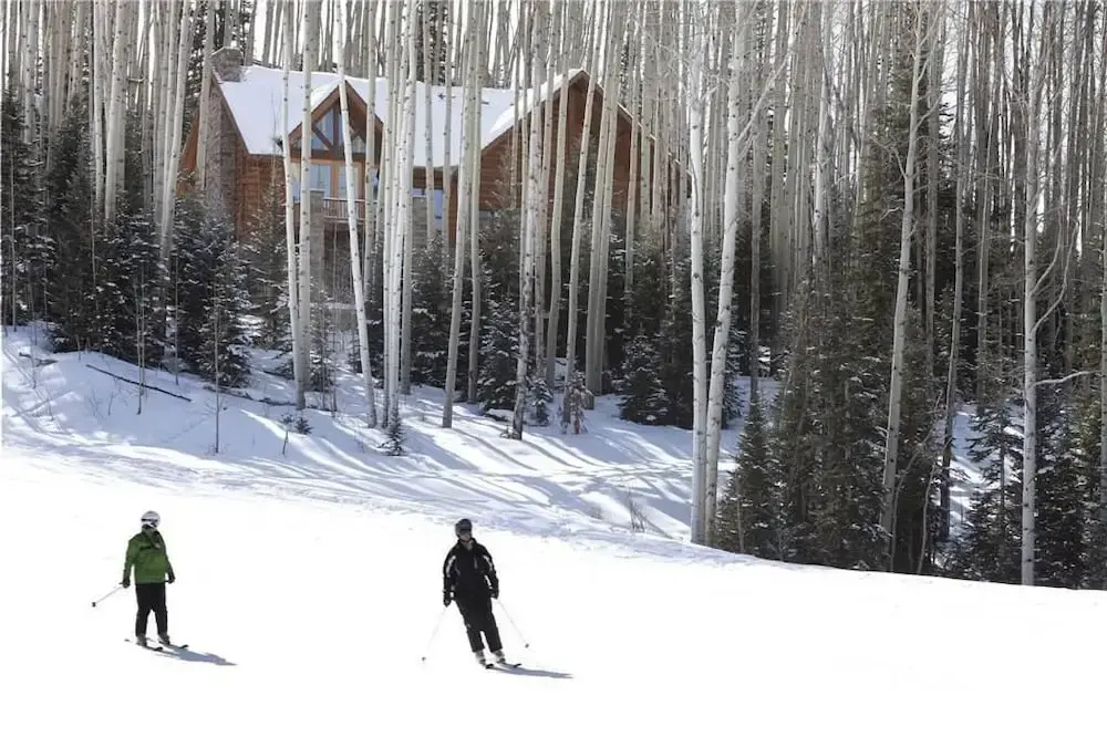 Snowdrift Cabin - Général