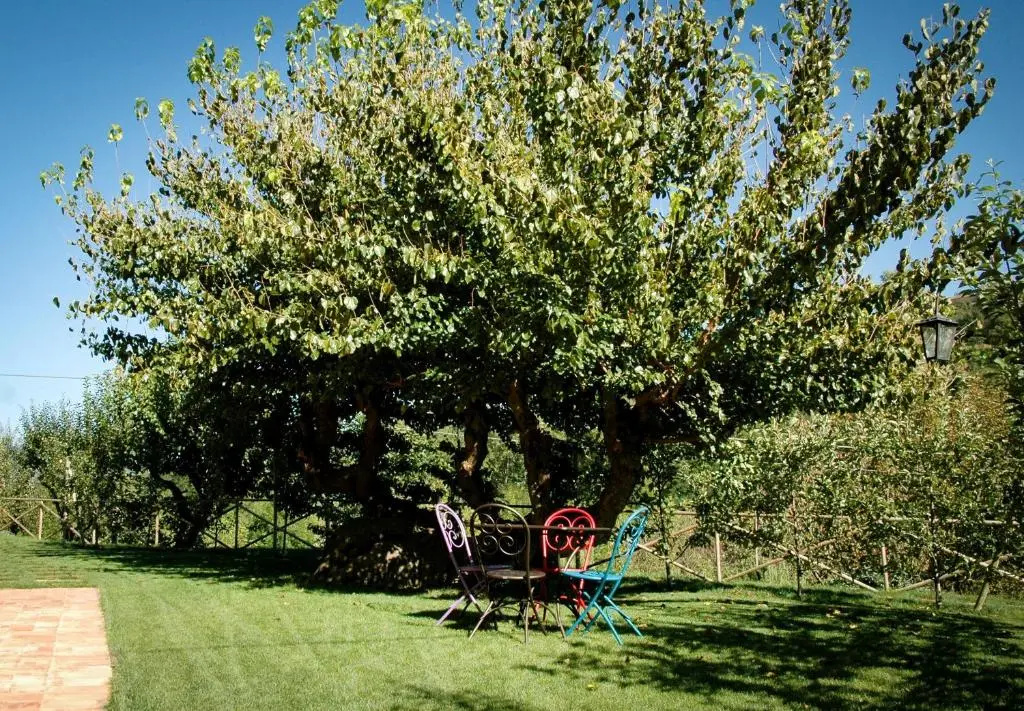 Agriturismo I Gelsi di Santa Cristina - Chambres