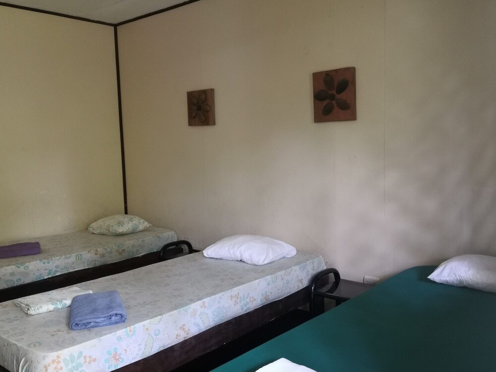 Hostal y Cabinas Tortuguero by null