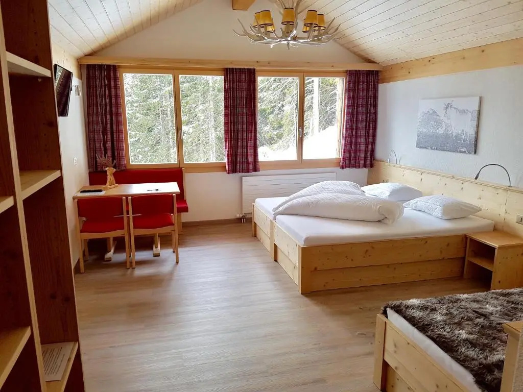 Standard Double room (full double bed)