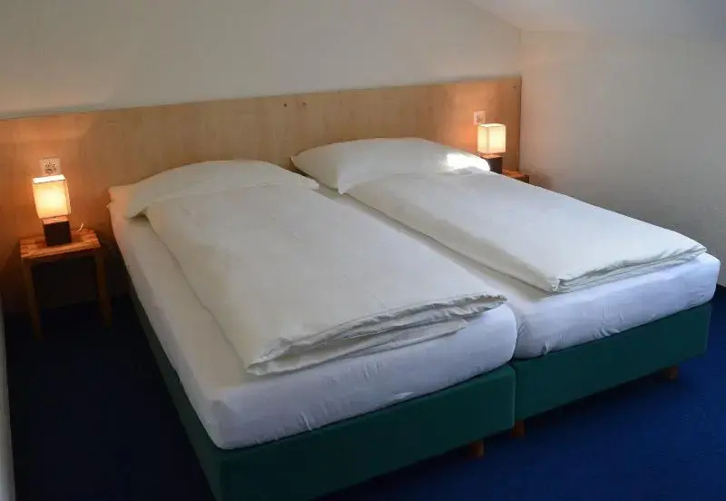 Budget Double room (twin beds)
