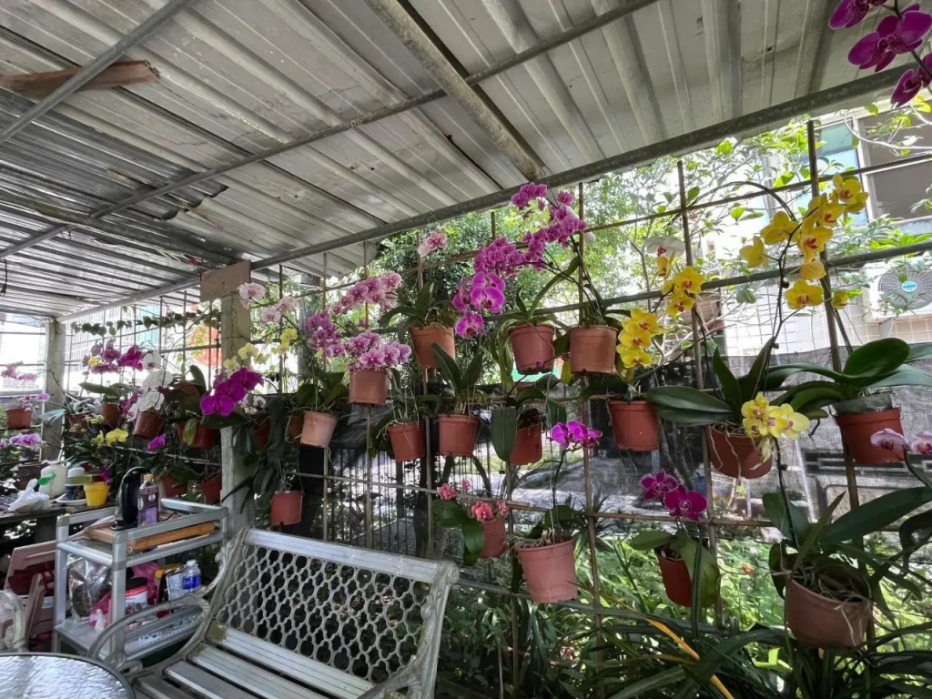 Garden Hostel