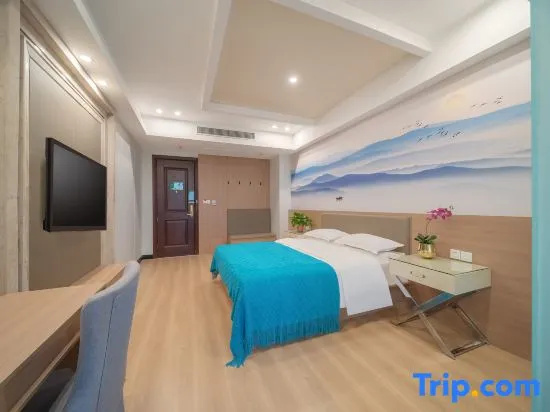 Standard Double room with city view (full double bed)