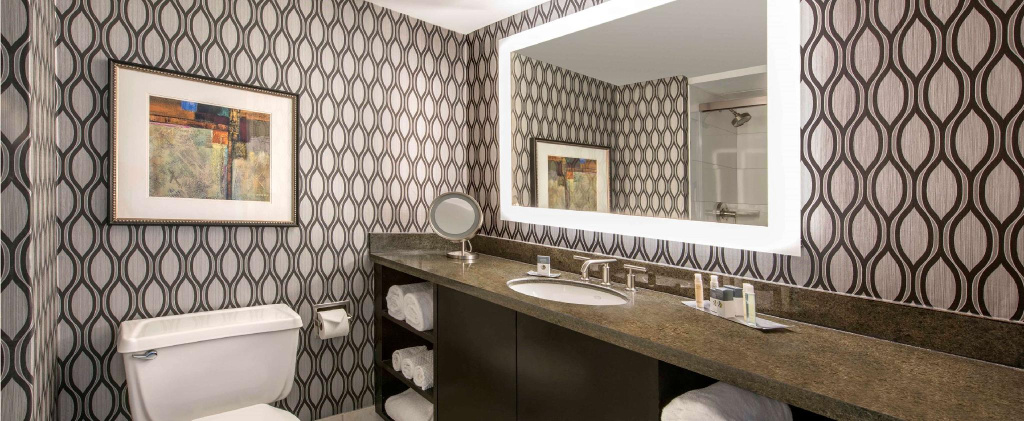DoubleTree by Hilton Chicago Schaumburg - Général