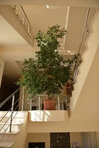 Hotel Xe-Mar - фото 15