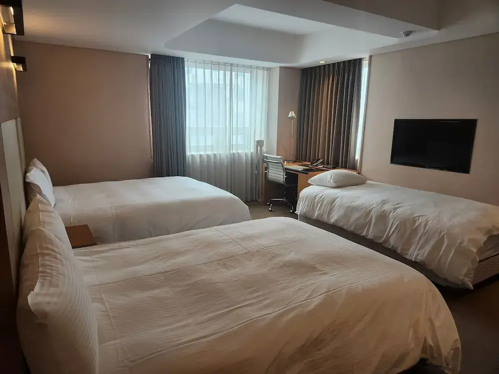 Standard Double Family room with city view (full double bed)