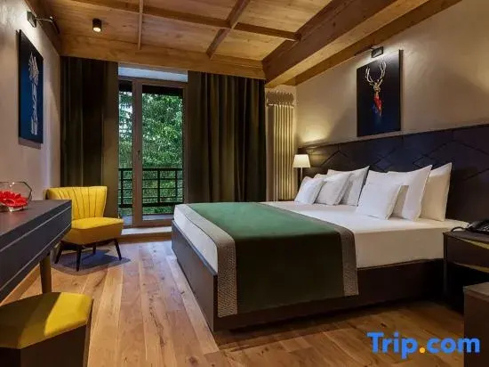 Ana Hotels Bradul Poiana Brasov - Chambres