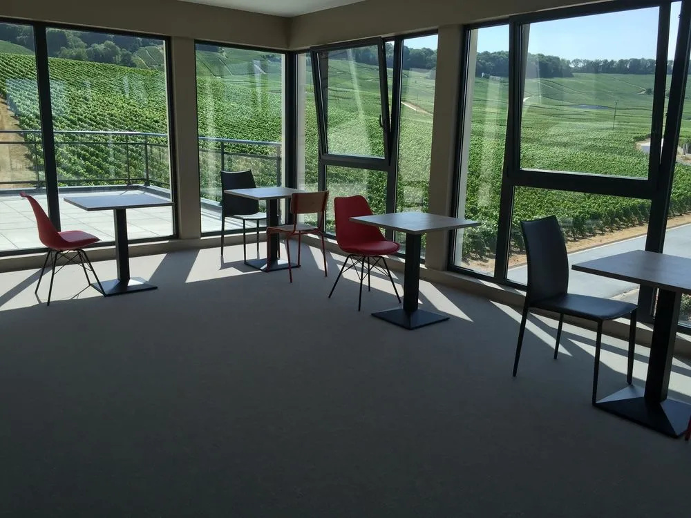 Afficher la photo 7 — Dans Les Vignes
