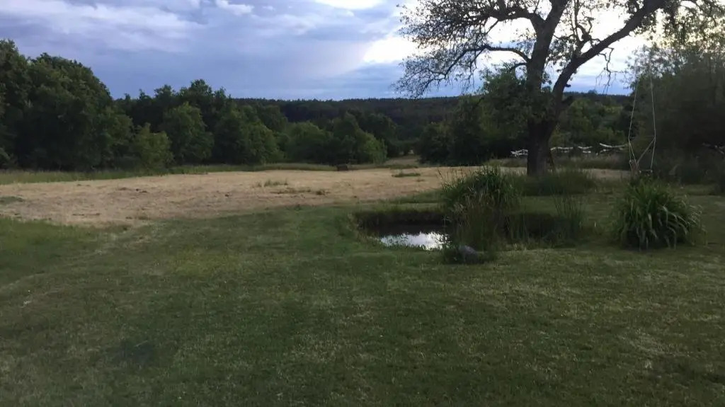 100 Baranyos - фото 9