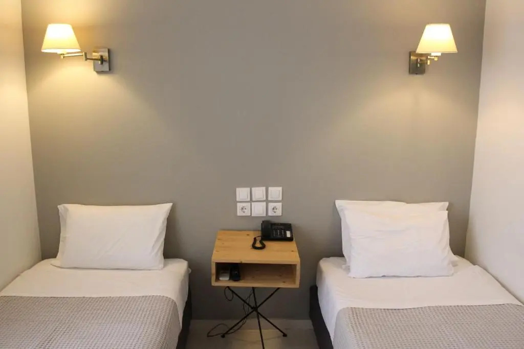 Standard Double room (twin beds)