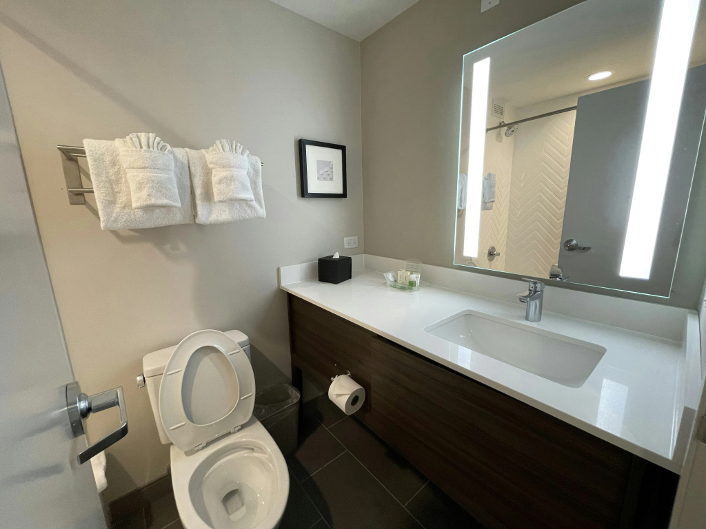 Holiday Inn & Suites Chicago - Downtown by IHG - Général