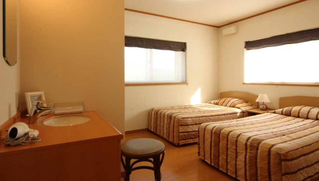 Standard Double room (twin beds)