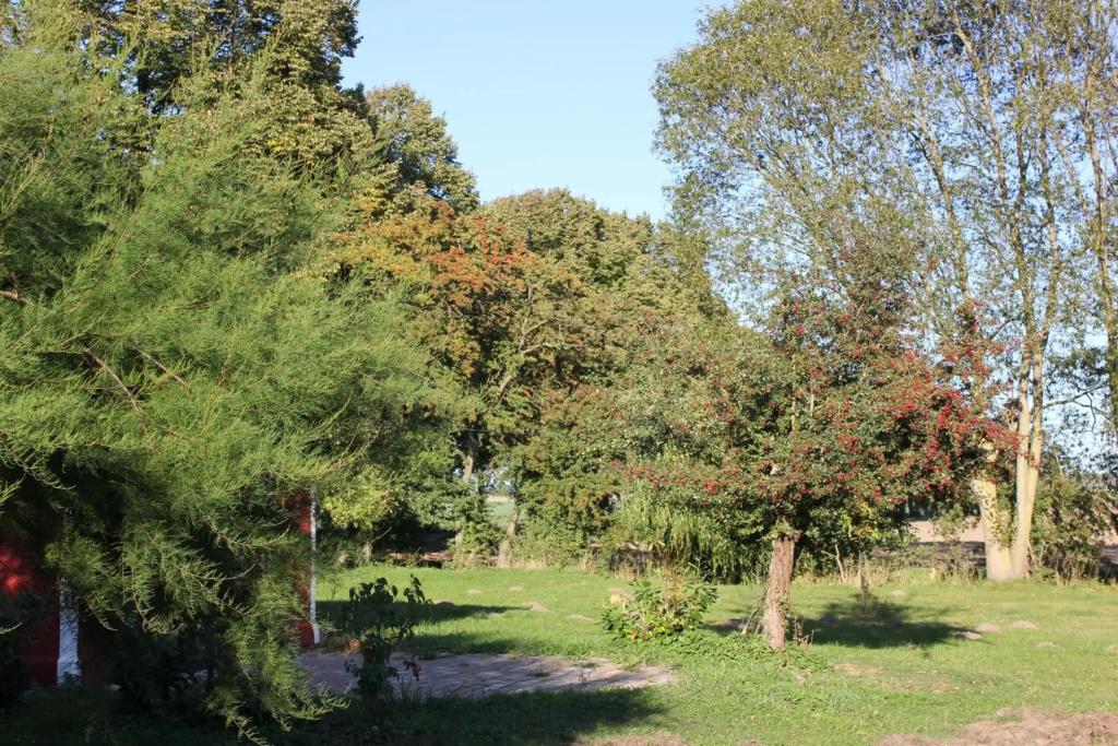 Ferienhaus an der Ostsee