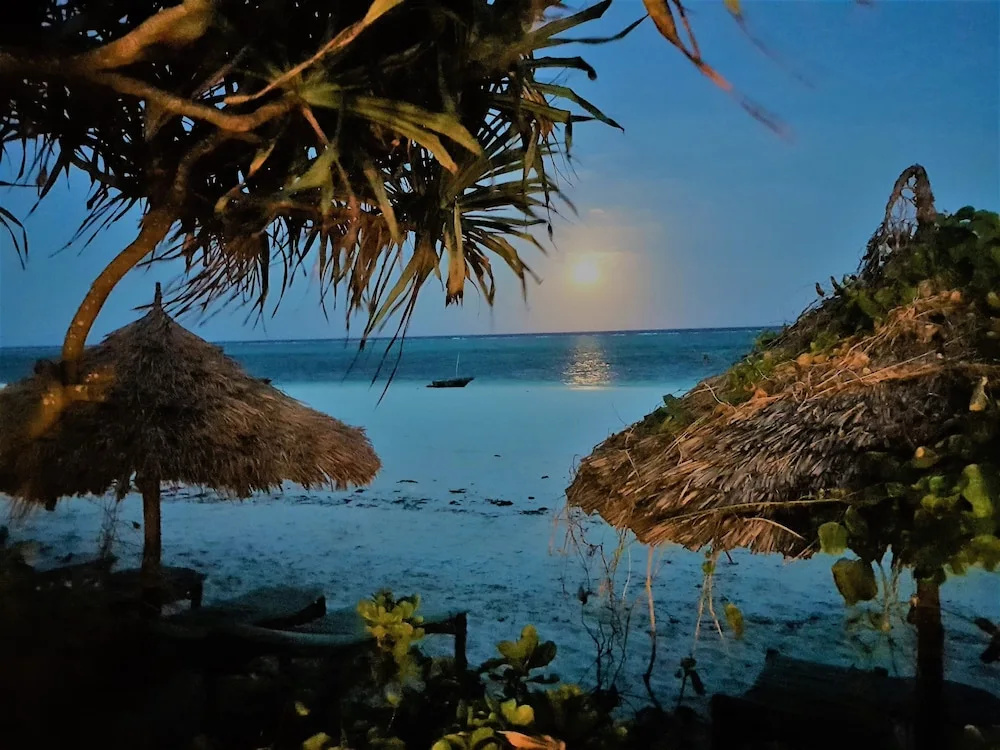 Zoi Retreat Hotel Zanzibar - Général