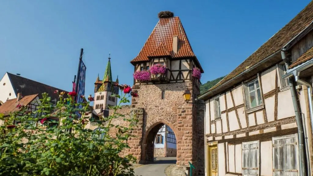 Appartement Spacieux Dans Joli Village Alsacien