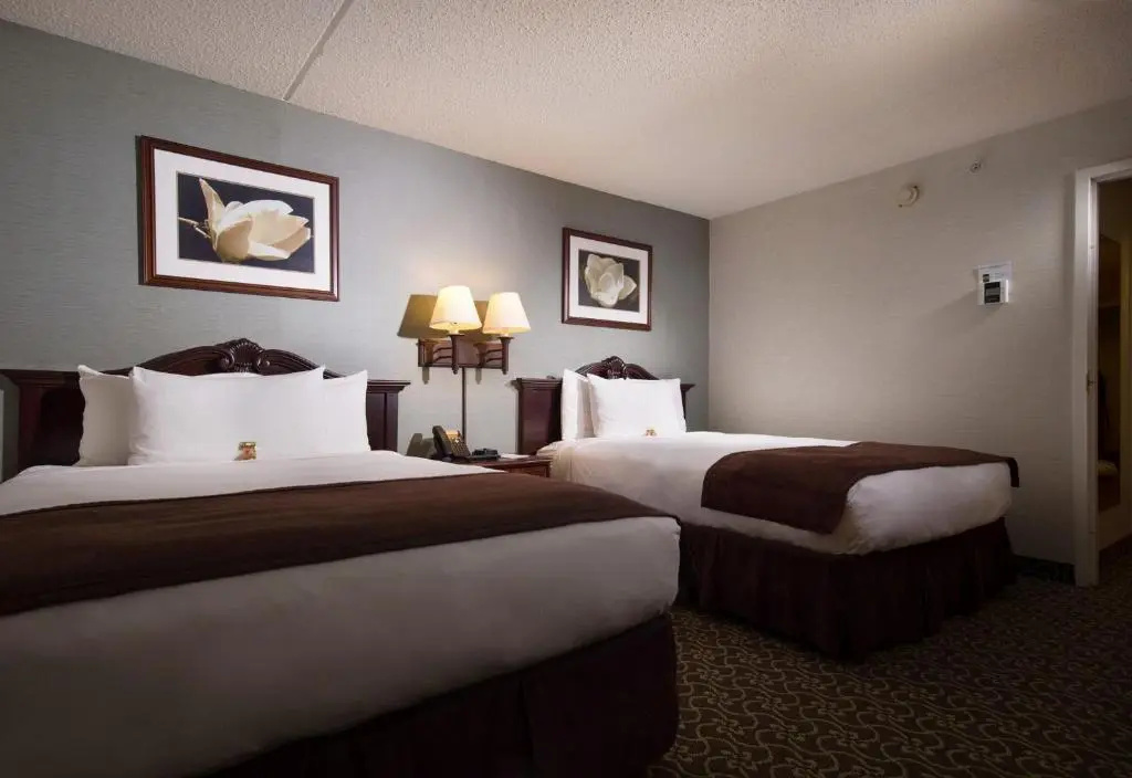 Double Suite (full double bed)