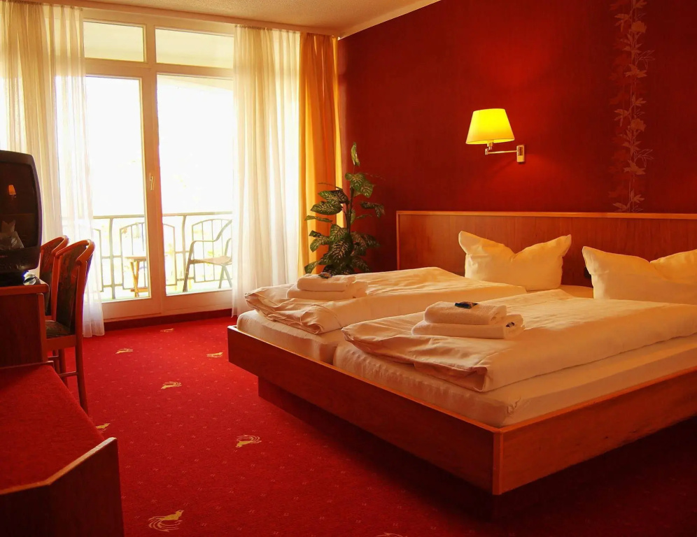 Hotel Goldener Fasan - Général