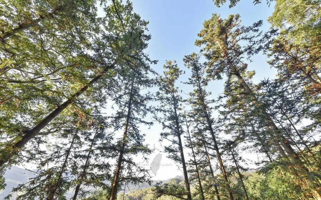 Deluxe Double room with mountain view (full double bed)