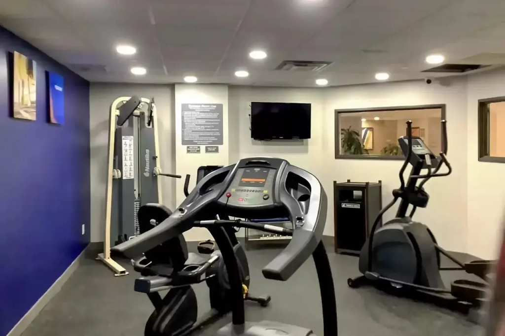 Comfort Inn & Suites Arlington Heights - Général