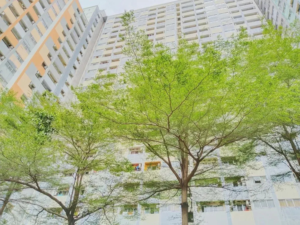 Hotel photo 46