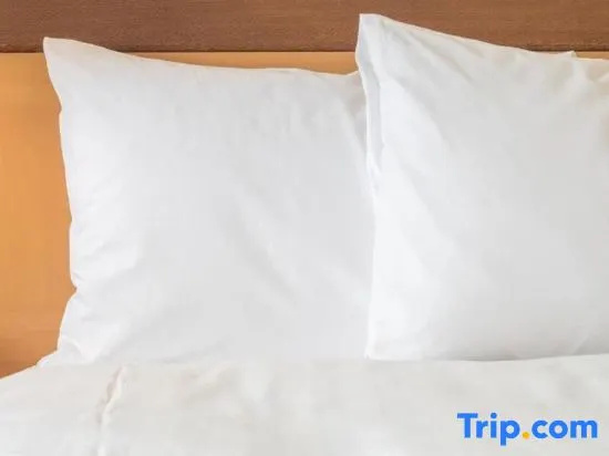 Holiday Inn Express and Suites Helen an IHG Hotel - Chambres