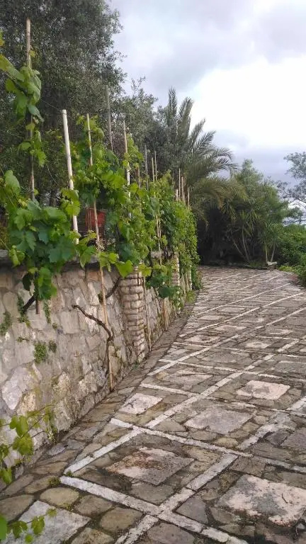 Casa Isabelle Mel