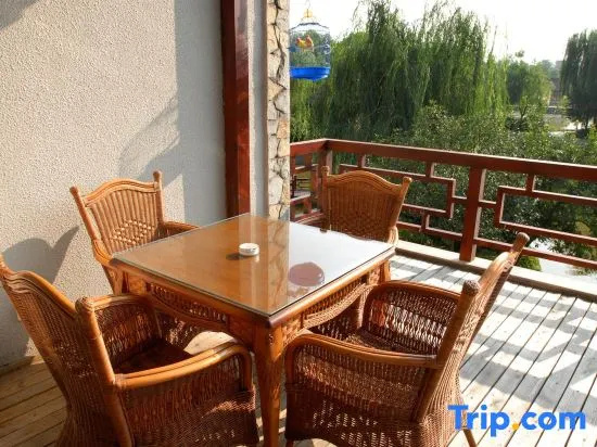 Balcony & Terrace