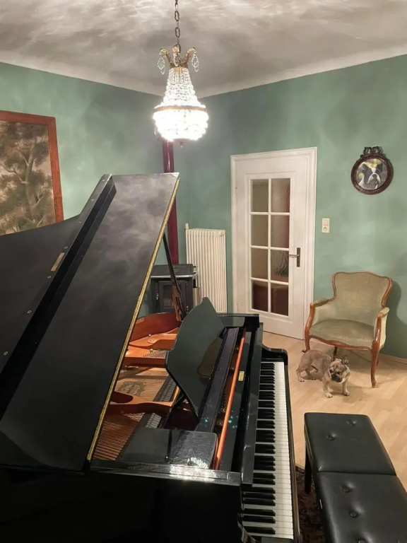 Musikalische Ferienwohnung mit Rheinblick - фото 15