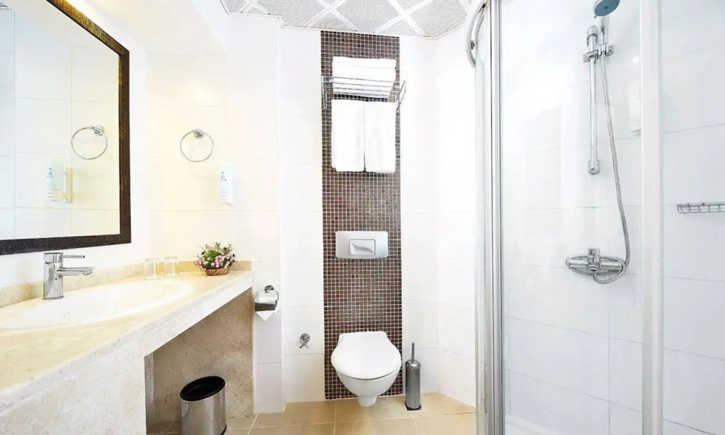 Grand Ideal Premium - фото 8
