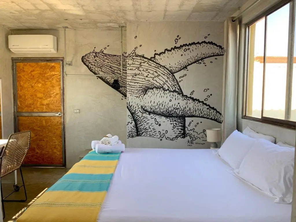 Perro Surfero Hotel Boutique - Todos Santos, BCS - Chambres