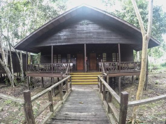 Bilit Rainforest Lodge