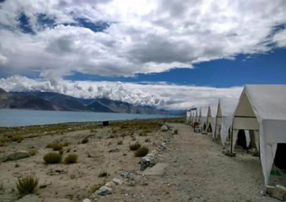 Pangong Paradise