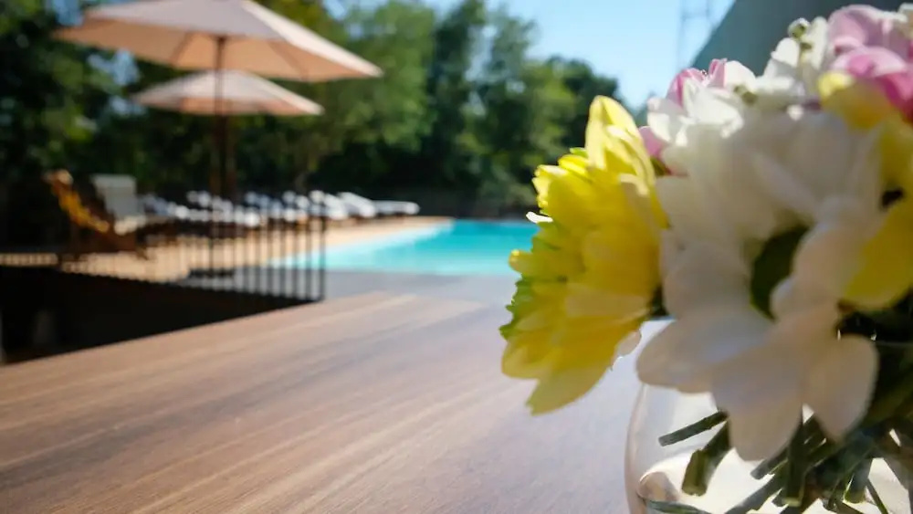 Quinta do Pedregal Hotel & Spa - Général