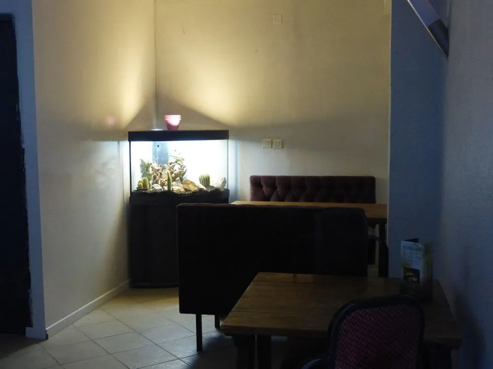 Lobby & Reception