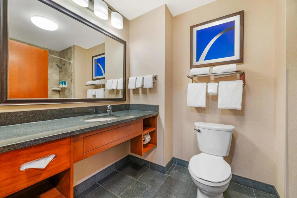 Drury Plaza Hotel St. Louis Brentwood - Général