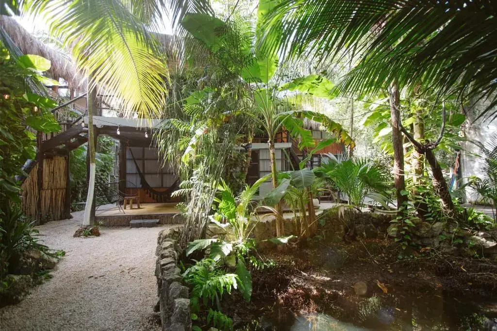 Tunich Jungle Cabañas - Chambres