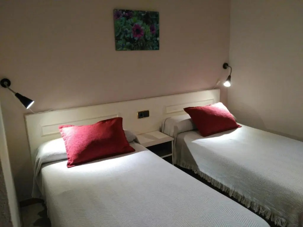 Standard Double room (twin beds)