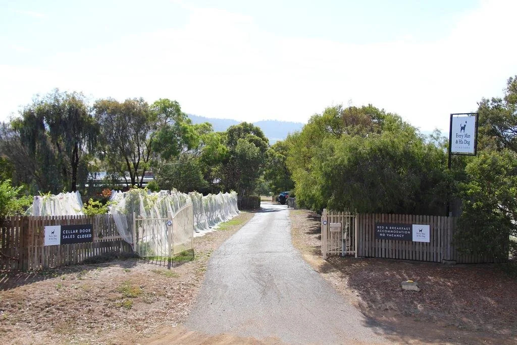 Every Man and His Dog Vineyard - фото 3
